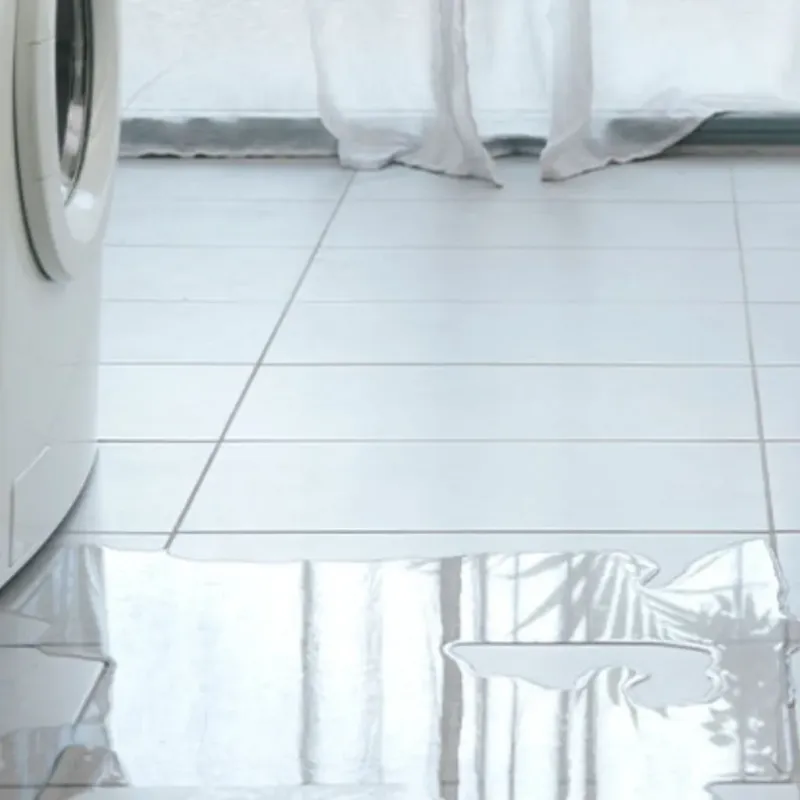 Appliance Leak Cleanup in Marion County, KS