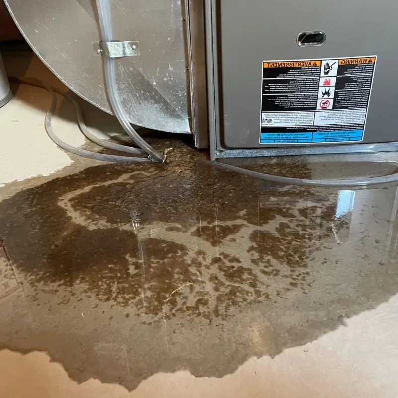 Pipe Burst and Leak Restoration in Marion County, KS