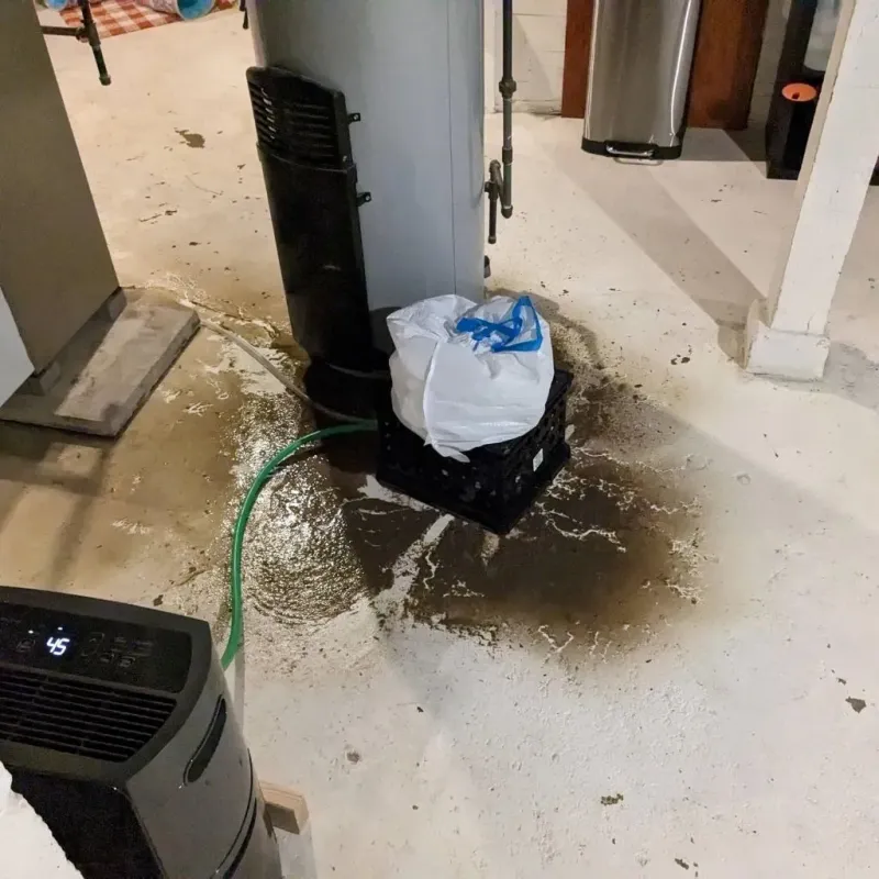 Sewage Backup Cleanup Service in Marion County, KS
